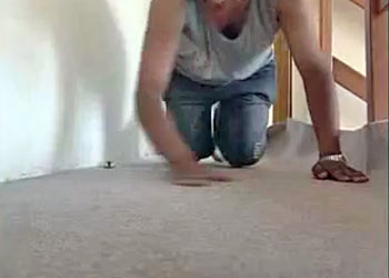 Colocando o carpete na casa