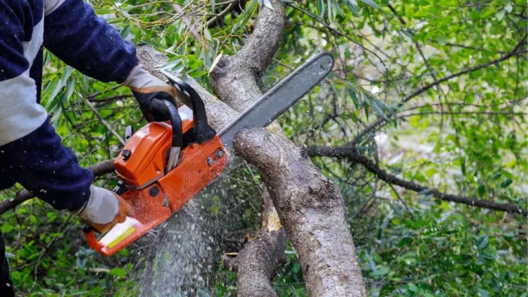 Cuidados e segurança no uso de serras elétricas